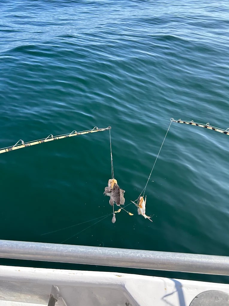 Captain Steve Kearney guiding anglers on a fishing boat off Point Lookout, Nassau County